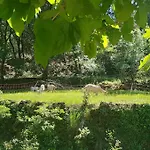 Casa de Férias Cevennes Mas Renove Confort Piscine Nature Monoblet