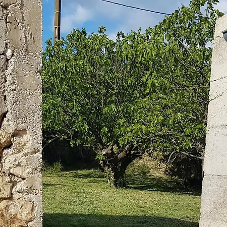 Cevennes Mas Renove Confort Piscine Nature Holiday home Monoblet