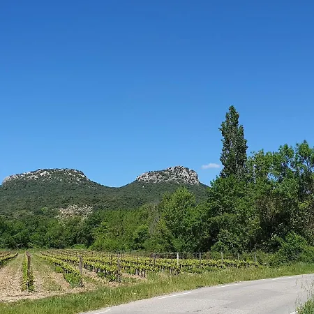 Cevennes Mas Renove Confort Piscine Nature Monoblet