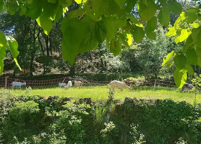 Ferienhaus Cevennes Mas Renove Confort Piscine Nature Monoblet